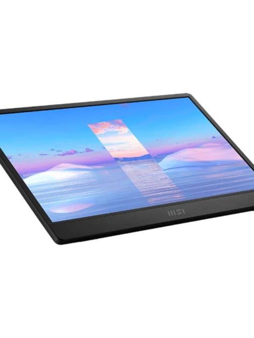 MSI-MONITOR-Portable-PRO-MP161-2-square_medium